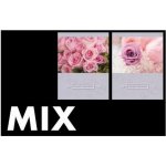 Univerzální fotoalbum, 15x21, zasunovací, P2-6836 ROSE MIX – Zboží Živě