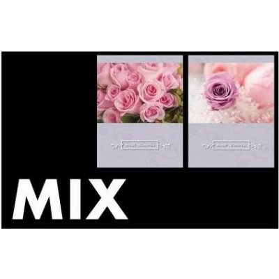 Univerzální fotoalbum, 15x21, zasunovací, P2-6836 ROSE MIX – Zboží Živě
