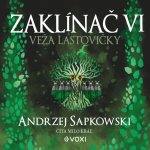 Zaklínač VI Veža lastovičky – Zboží Dáma