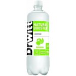 DrWitt Vital Brain Boost Mango & Maracuja PET 0,75 l – Hledejceny.cz