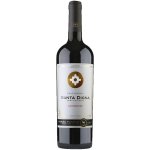 Santa Digna Gran Reserva Carmenere 2023 14% 0,75 l (holá láhev) – Zboží Dáma