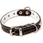 B & F Obojek STELLA podšitý zdobený – Zbozi.Blesk.cz