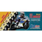 ČZ Chains Řetěz 525 SDZZ 124 – Zboží Mobilmania