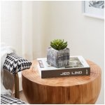 Eglo 428007 - Umělá rostlina CHITOSE 12x7,5 cm sukulent EG428007 – Hledejceny.cz