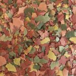 Dajana Basic Tropical Flakes 1 l – HobbyKompas.cz
