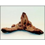 Decor Wood Kořen DriftWood Bulk S 24-29 cm – Hledejceny.cz