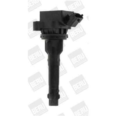 Zapalovací cívka BorgWarner (BERU) ZS449 – Hledejceny.cz