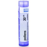POLLENS POR 30CH GRA 1X4G – Hledejceny.cz