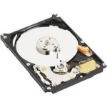 WD SCORPIO AV-25 500GB, 2,5", SATA/300, 16MB, WD5000LUCT – Hledejceny.cz