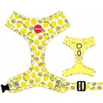 Reedog Postroj PUPPY – Zboží Mobilmania