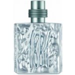 Nino Cerruti 1881 Silver toaletní voda pánská 100 ml – Hledejceny.cz