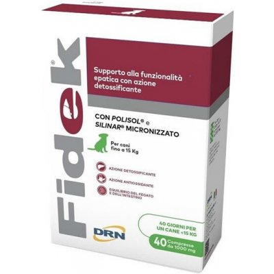 Fidek 1000 mg 40 tablet – Hledejceny.cz