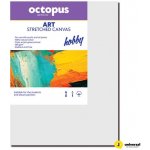 Octopus Hobby malířské plátno 280 g 20 x 25 cm – Zboží Mobilmania