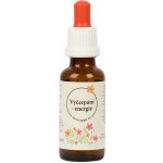 Bachovy květové esence Vyčerpání energie 30 ml – Hledejceny.cz