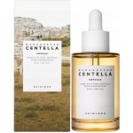 SKIN1004 Madagascar Centella Ampoule s pupečníkem asijským 55 ml – Zboží Dáma