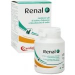 Candioli Renal P 70 g – Hledejceny.cz