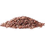 Country Life Len hnědý BIO 300 g – Hledejceny.cz
