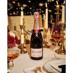 Moët & Chandon Rosé Impérial Brut Limited Edition 12% 0,75 l (karton) – Zboží Dáma