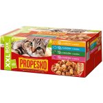 Propesko s kuřecím hovězím králičím a lososem v omáčce 48 x 100 g – Hledejceny.cz