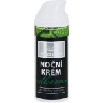 Regina noční krém s Aloe Vera 50 ml – Hledejceny.cz