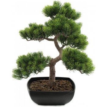 Bonsai borovice, 50 cm