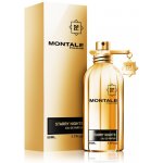 Montale Starry Nights parfémovaná voda unisex 50 ml – Hledejceny.cz