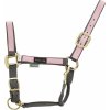 Ohlávky a vodítka pro koně Umbria Ohlávka nylonová Colored Parts Equitazione šedá /pink