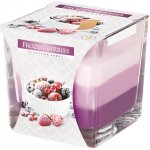 Bispol Aura Frozen Berries 170 g – Hledejceny.cz