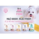 Brit Care Dog Mini treats SHINE 50 g – Sleviste.cz