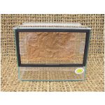 Robimaus Terárium 25 x 20 x 20 cm s pozadím – Zboží Dáma
