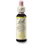 Bachovy květové esence Kaštan bílý White Chestnut 20 ml – Hledejceny.cz