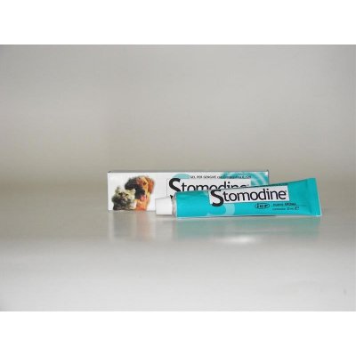 ATV impex Stomodine 30 g – Hledejceny.cz