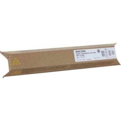 Ricoh 842470 - originální – Zbozi.Blesk.cz