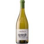 Tarapacá Sauvignon Blanc Gran Reserva 0,75 l (holá láhev) – Hledejceny.cz