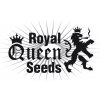 Royal Queen Seeds Stress Killer Auto semena neobsahuji THC 5 ks