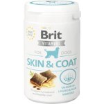 Brit Skin & Coat vitamíny pro psy 150 g – Hledejceny.cz