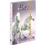 Karton P+P A5 Kůň 3-77121 – Zboží Dáma