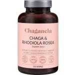 Chaganela Čaga s rodiolou rosea 150 kapslí – Hledejceny.cz