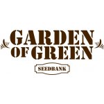 Garden Of Green Seedbank Candyland semena neobsahují THC 3 ks – Zboží Dáma