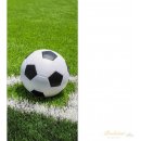 Jerry Fabrics Dětská osuška 70 x 140 cm ‒ Football