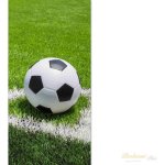 Recenze Jerry Fabrics Dětská osuška 70x140 cm ‒ Football