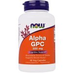 Now Foods Alpha GPC 300 mg x 60 rostlinných kapslí – Zboží Mobilmania