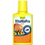 Tetra VitaMinPro 3in1 100 ml – Zboží Mobilmania