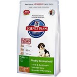 Hill’s Puppy Growth Lamb & Rice 12 kg – Hledejceny.cz