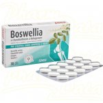 Favea Boswellia s chondroitinem a kolagenem 30 tablet – Hledejceny.cz