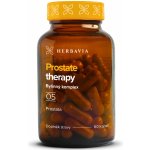 Herbavia Prostate therapy bylinný komplex 60 kapslí – Hledejceny.cz