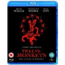 Twelve Monkeys BD