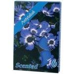 Bispol Aura Anti Tobacco 6 ks – Sleviste.cz