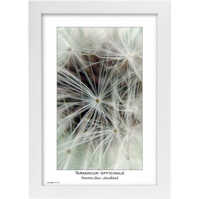 TRADAG Natura 20 x 30 bílý – Zboží Živě