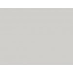 Pfleiderer Pracovní deska Lichtgrau Formát 4100x900 mm Struktura SD U12187 – Sleviste.cz